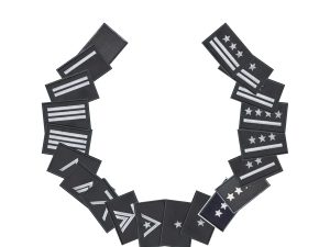 Dystynkcje specjalne